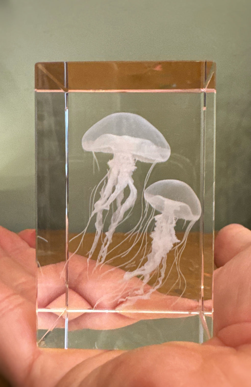 3D Kristall mit Quallen - Leuchtobjekt