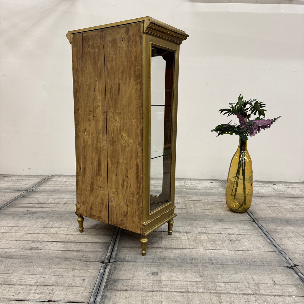 Thomas Klotz Upcycling Glasvitrine Barock Gold Tropen Muster Design Vitrine Unikat - Mein Shop