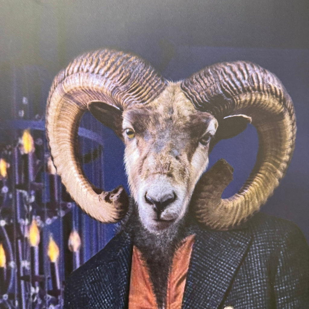 Thomas Klotz "Widder" Kunstdruck auf Leinwand 120x80 Wandbild Deko - Mein Shop