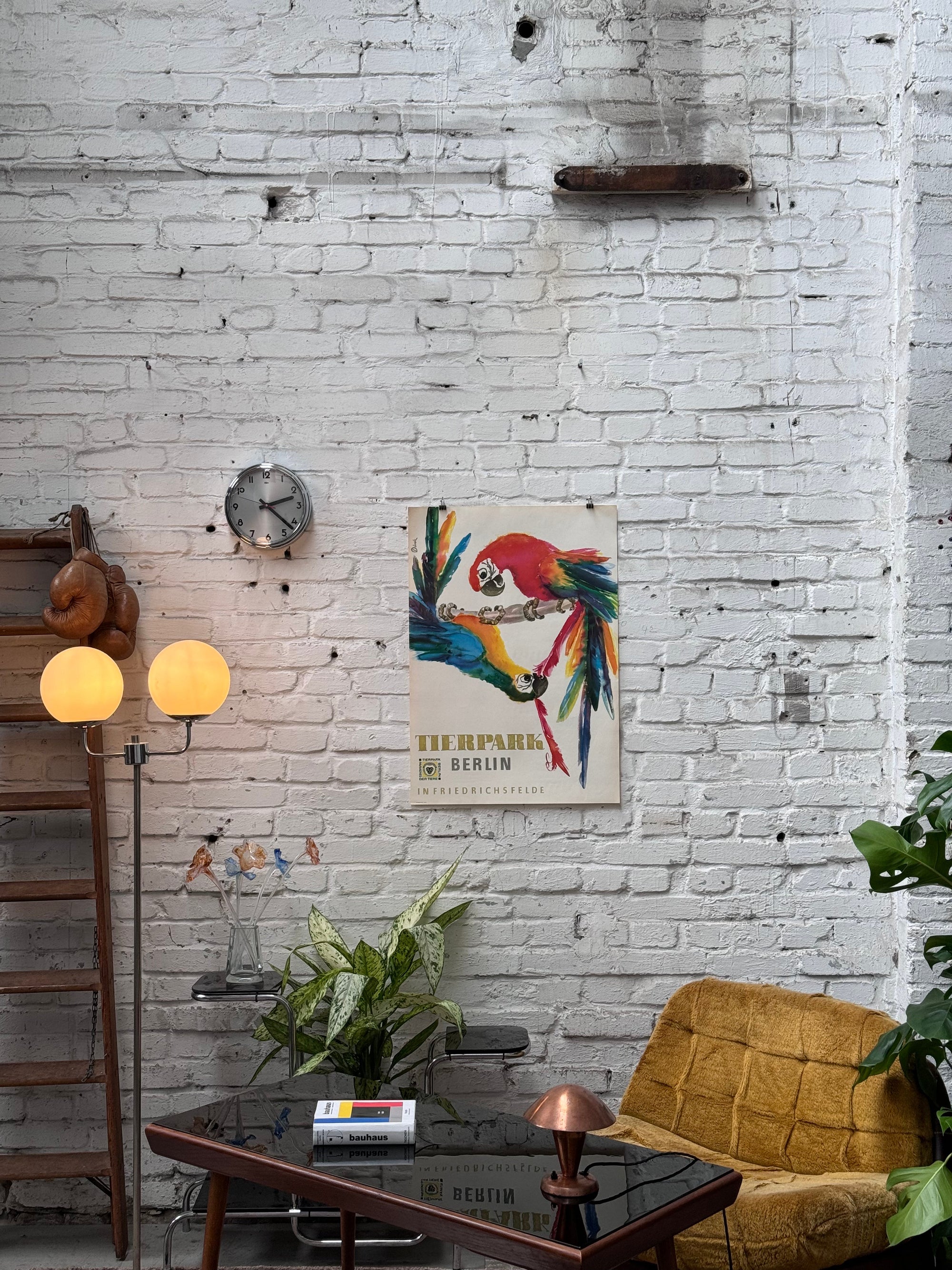 Tierpark Poster Papagei | 1956 | Original Berlin - Mein Shop