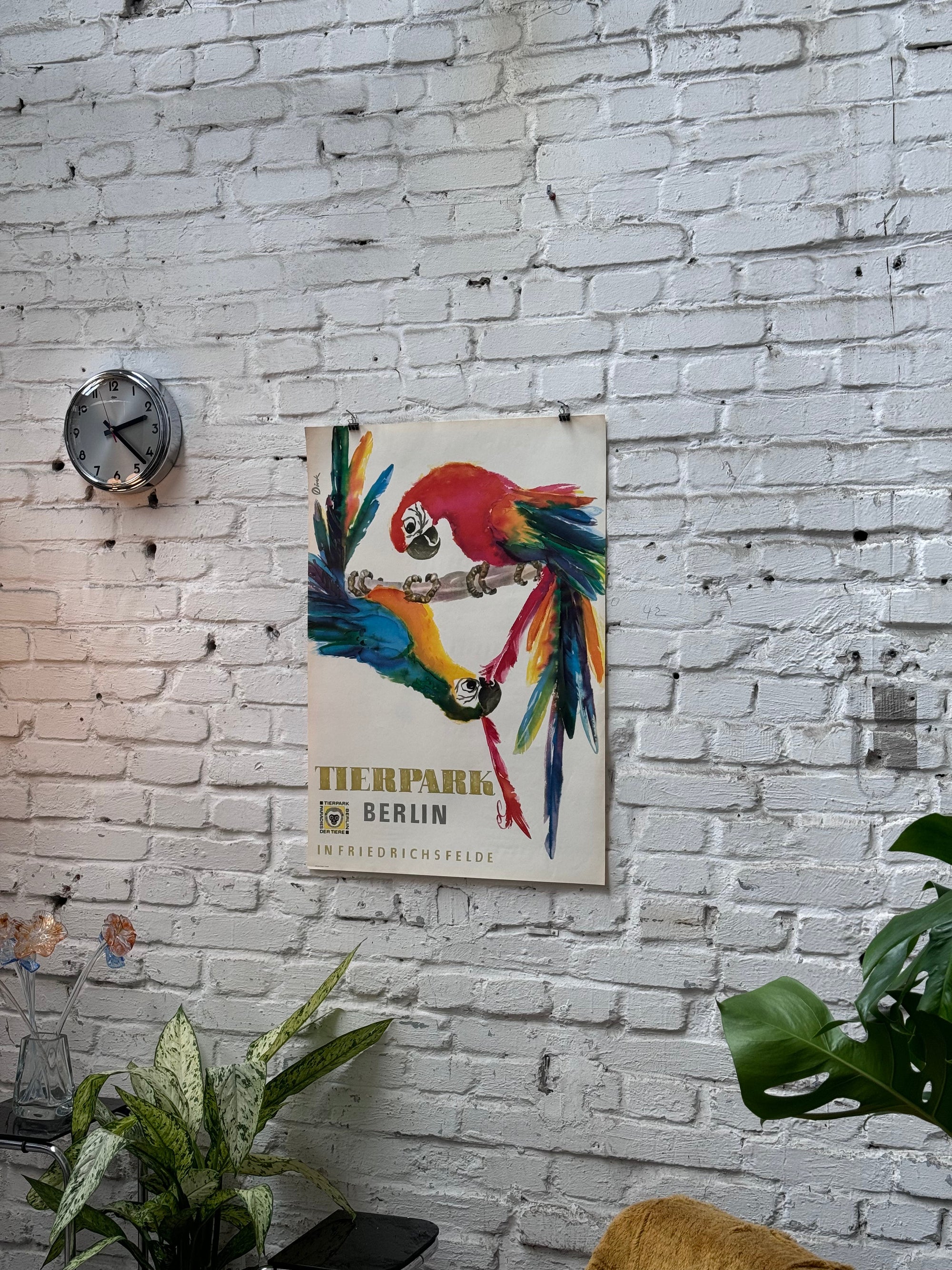 Tierpark Poster Papagei | 1956 | Original Berlin - Mein Shop