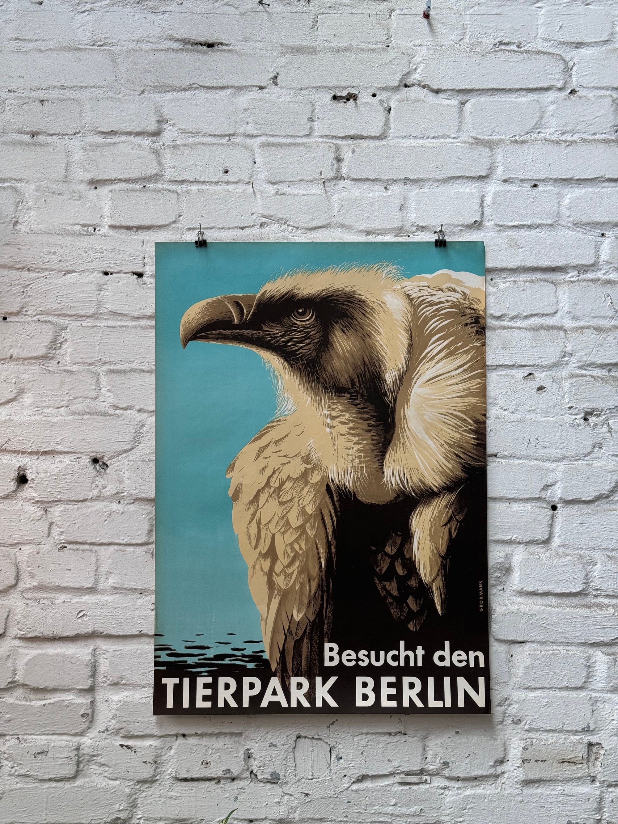 Tierpark Poster Geier | 1956 | Original Berlin - Mein Shop