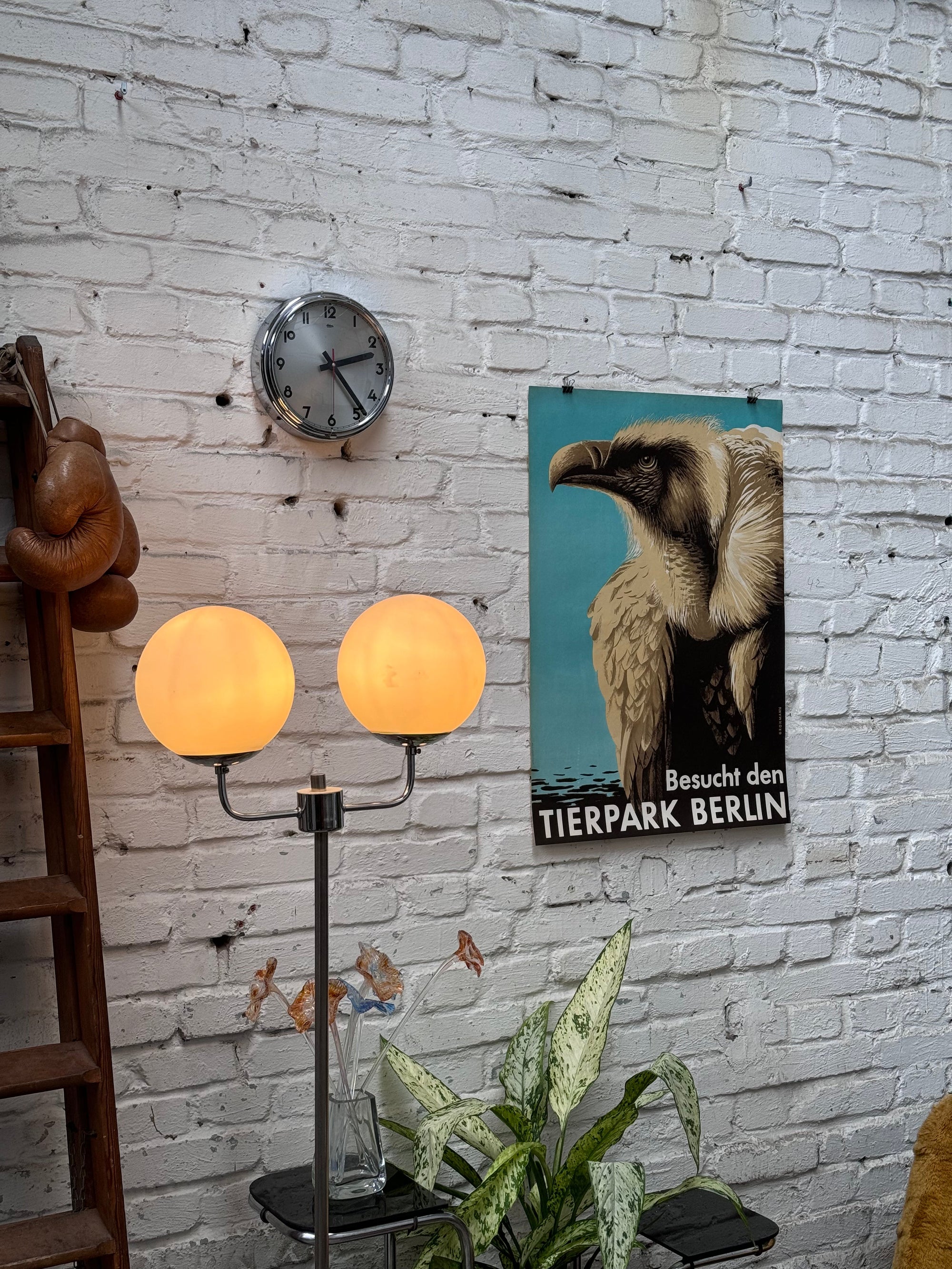 Tierpark Poster Geier | 1956 | Original Berlin - Mein Shop