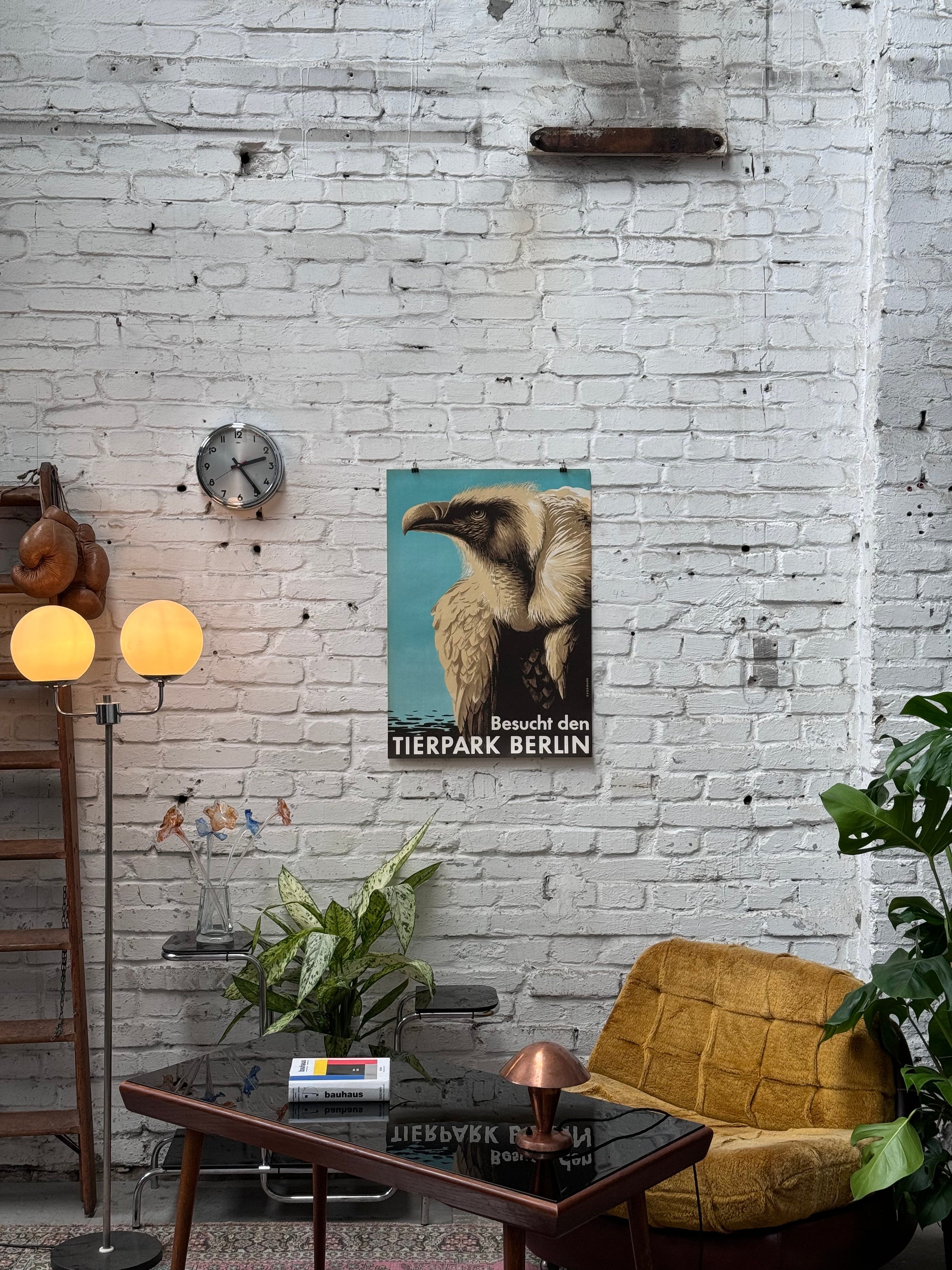 Tierpark Poster Geier | 1956 | Original Berlin - Mein Shop