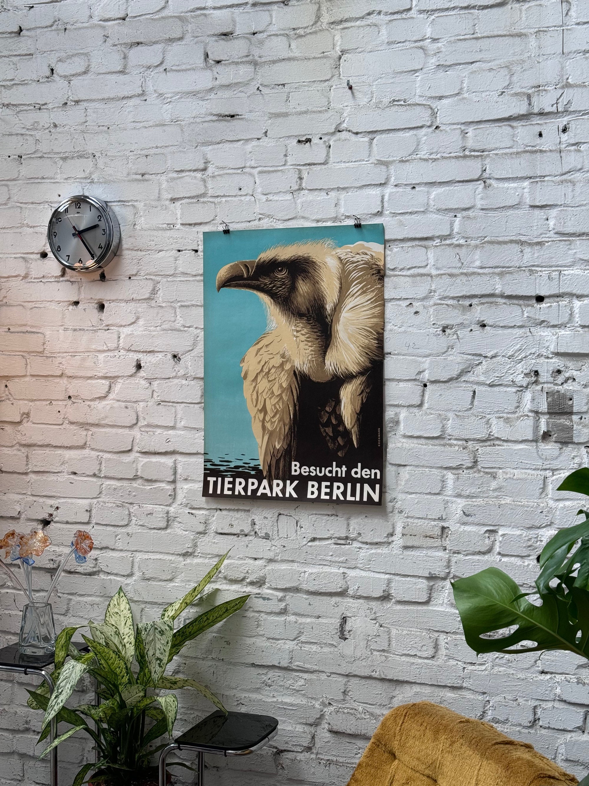 Tierpark Poster Geier | 1956 | Original Berlin - Mein Shop