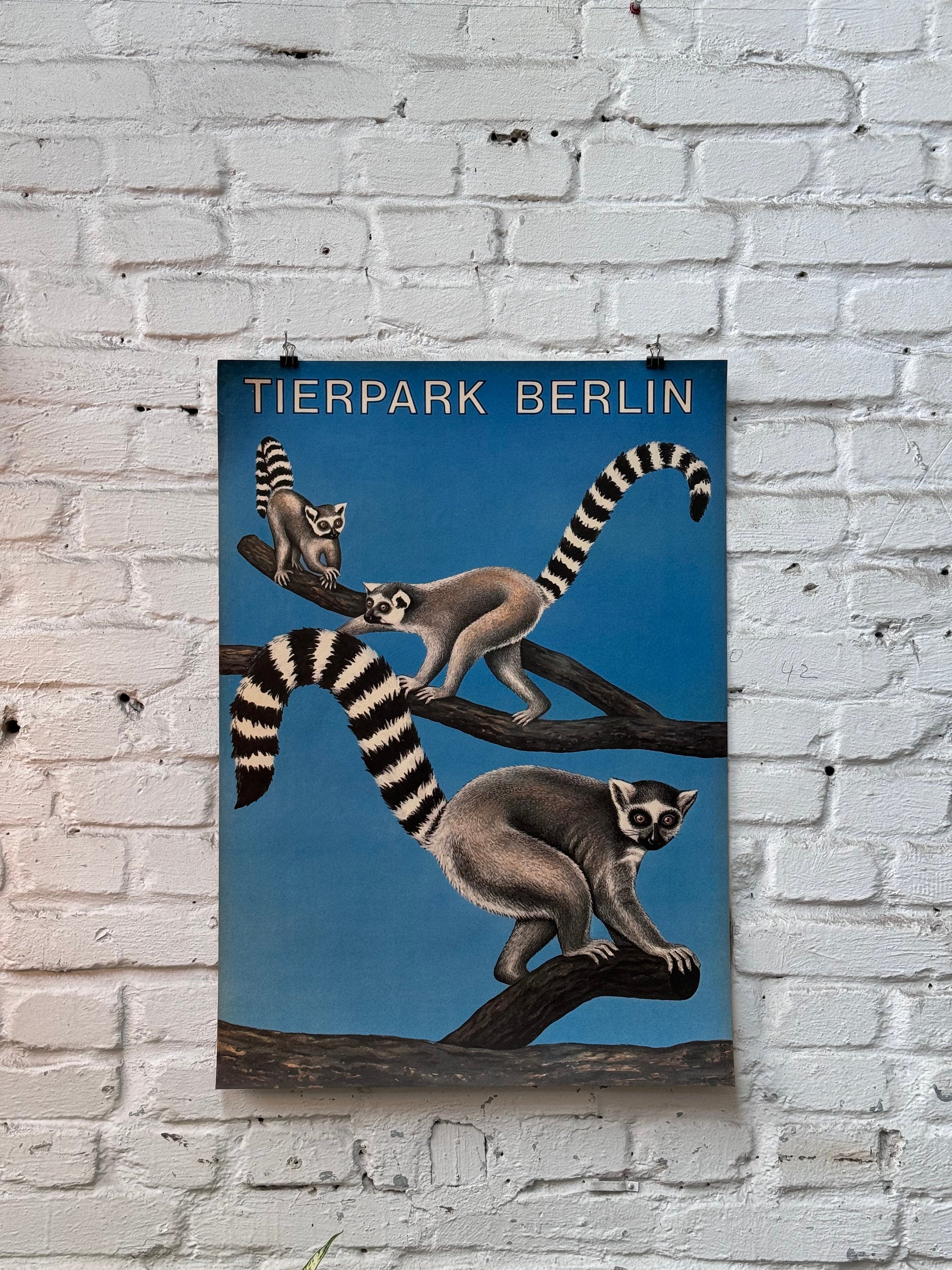 Tierpark Poster Lemuren | 1986 | Original Berlin - Mein Shop