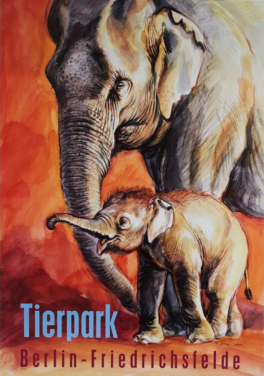 Tierpark Poster Elefant | 2002 | Original Berlin - Mein Shop