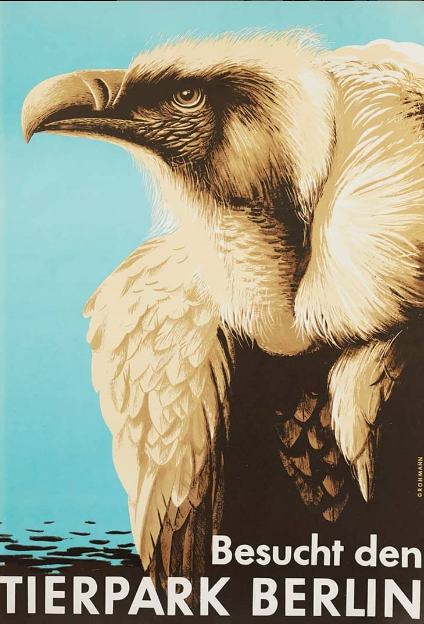 Tierpark Poster Geier | 1956 | Original Berlin - Mein Shop