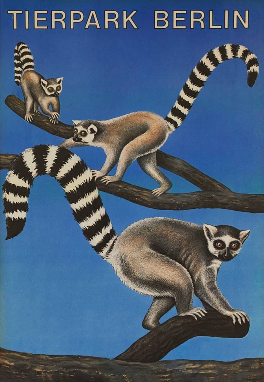 Tierpark Poster Lemuren | 1986 | Original Berlin - Mein Shop