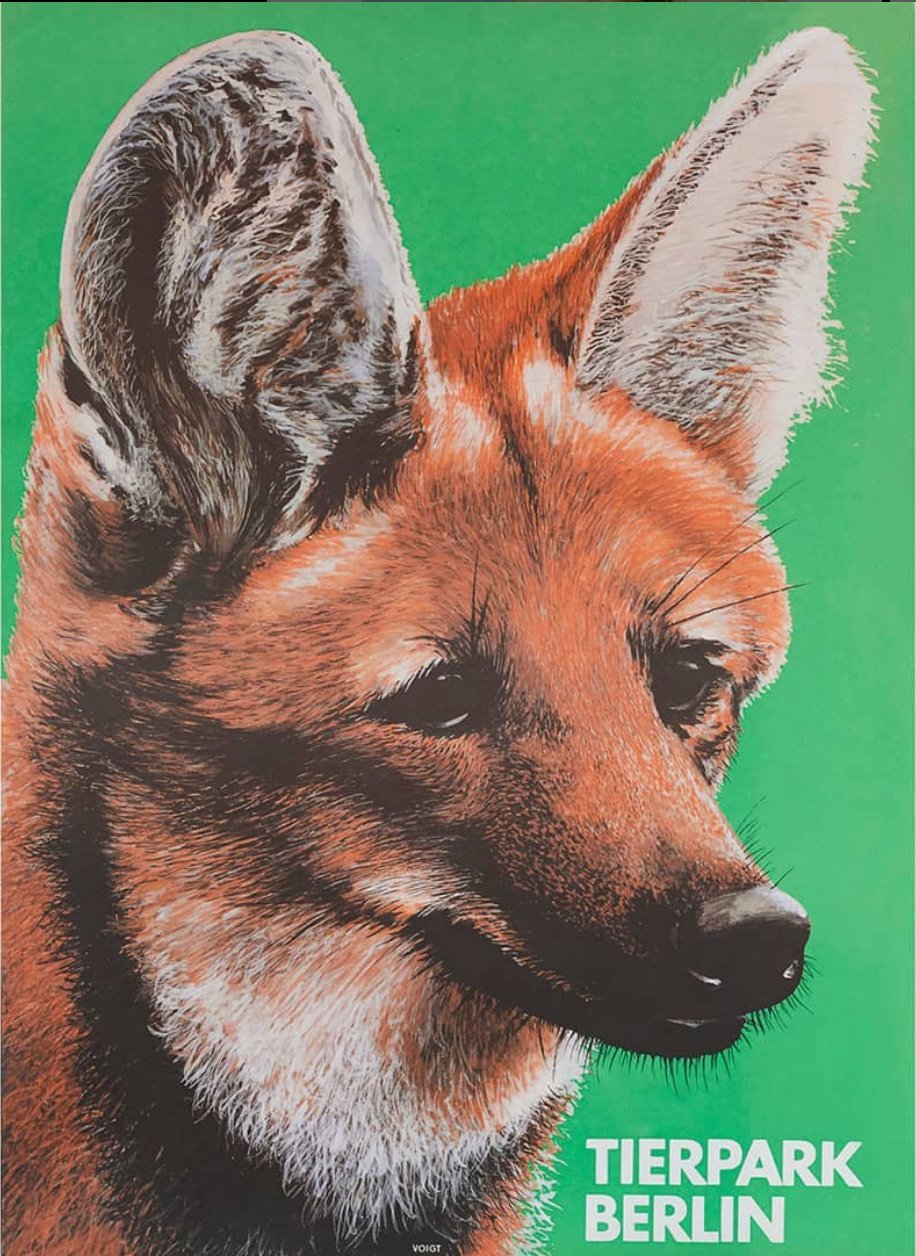 Tierpark Poster Mähnenwolf | 1986 | Original Berlin - Mein Shop