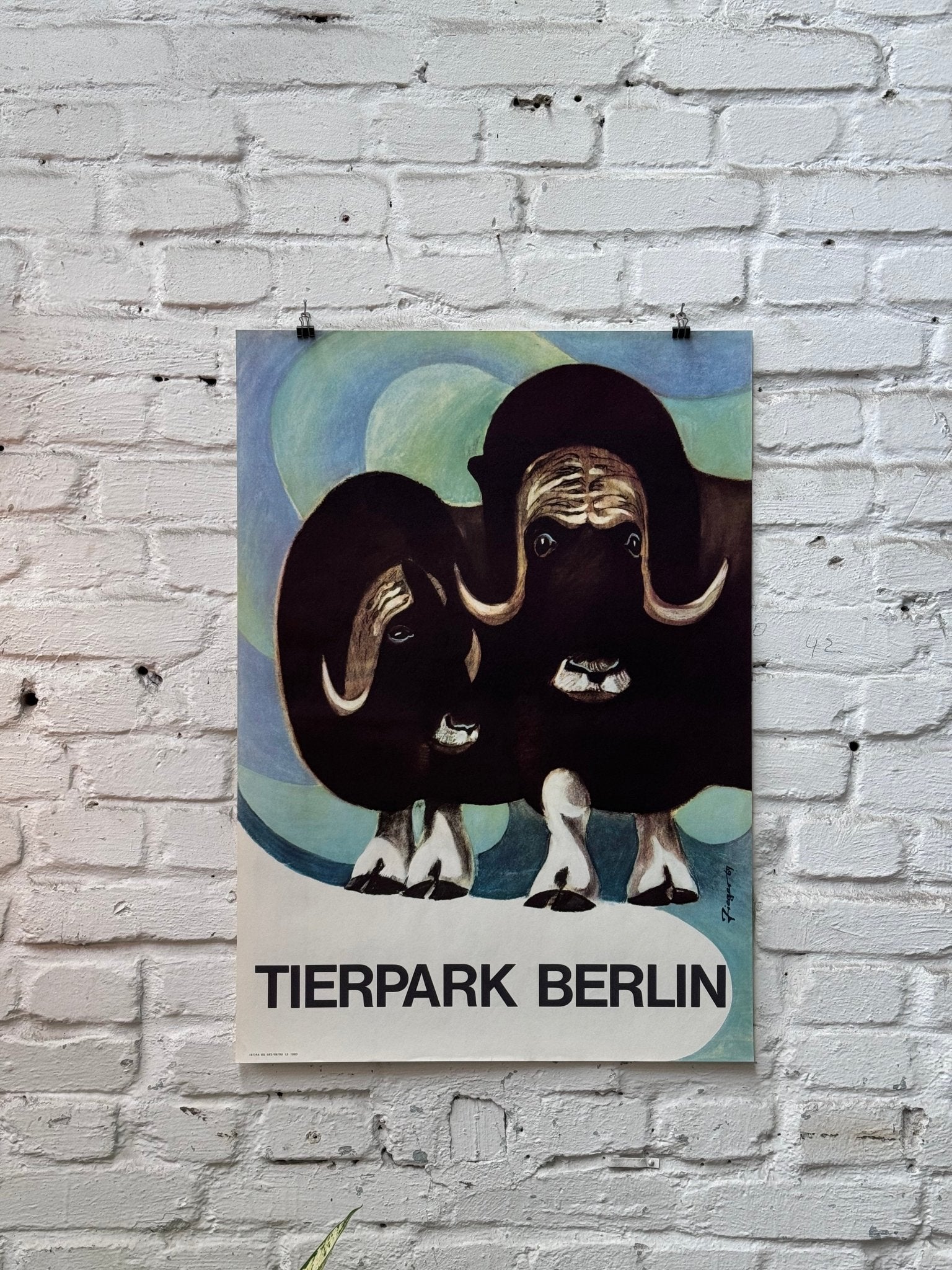 Tierpark Poster Moschusochse | 1964 | Original Berlin - Mein Shop