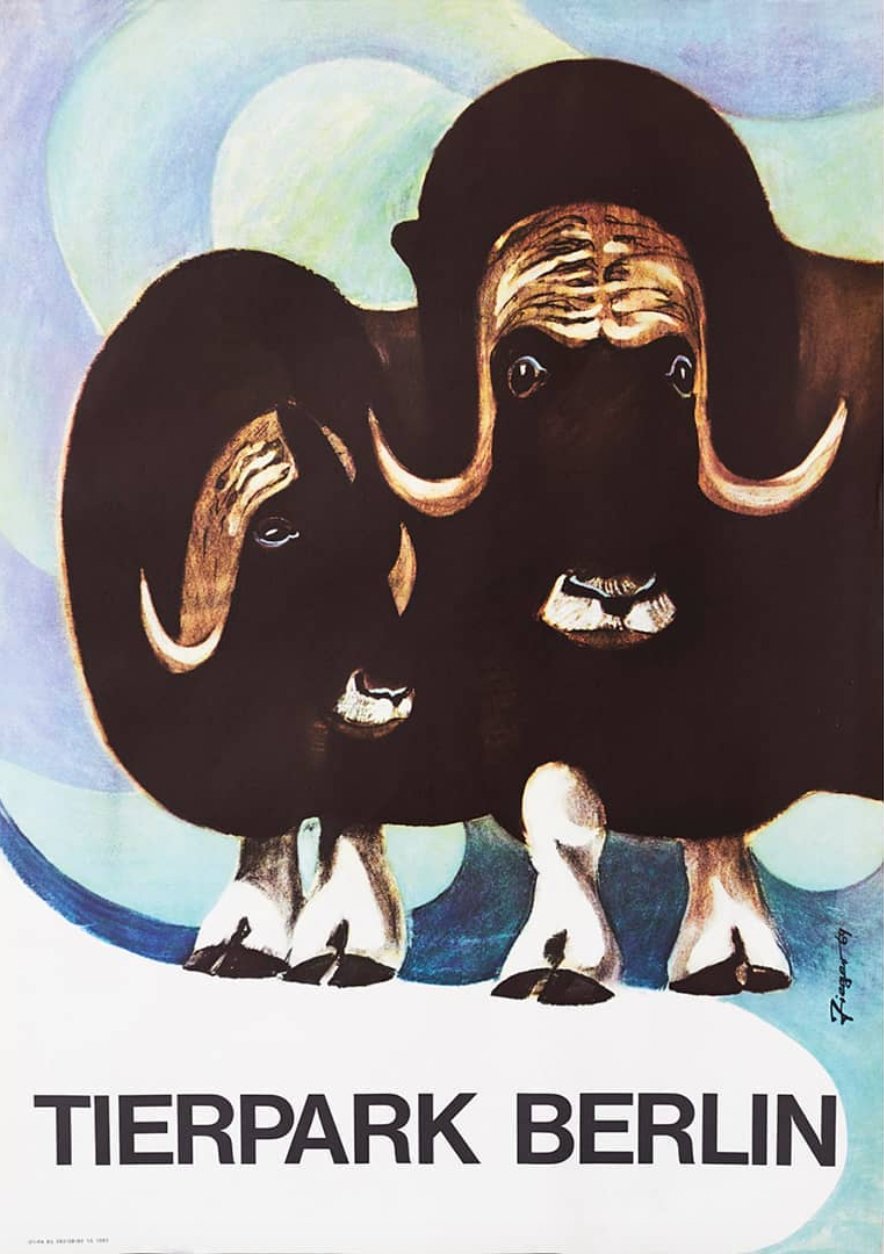 Tierpark Poster Moschusochse | 1964 | Original Berlin - Mein Shop