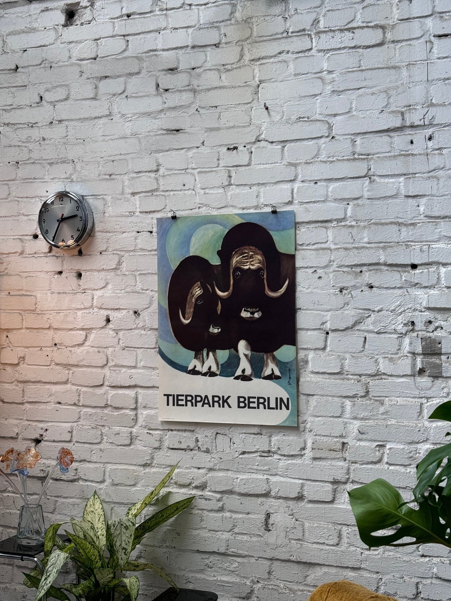 Tierpark Poster Moschusochse | 1964 | Original Berlin - Mein Shop
